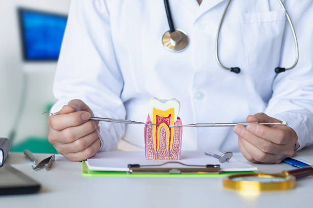 Best Emergency Denture Repair in Logan, OH